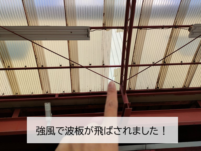 和泉市の波板が強風で飛ばされました