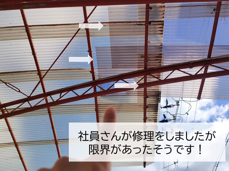 和泉市の波板を社員さんが修理されていました