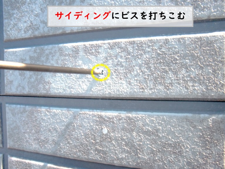 和泉市サイディングにビスを打つ