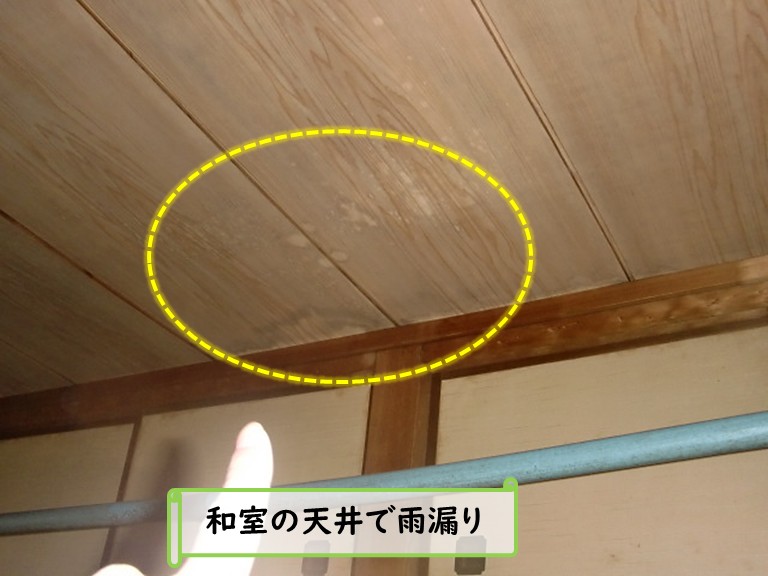 和泉市和室天井雨漏り