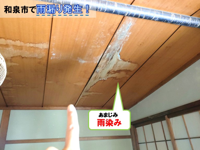 和泉市和泉市で雨漏り発生！雨染み