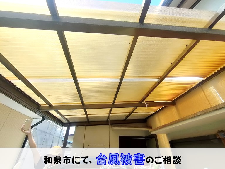 和泉市和泉市にて、台風被害のご相談