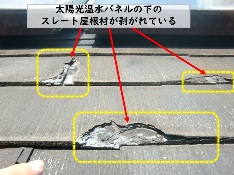 和泉市太陽光温水パネル下の屋根材剥がれ