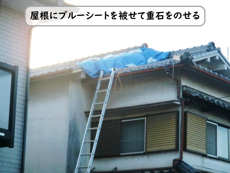 和泉市屋根にブルーシートを被せておもしをのせる
