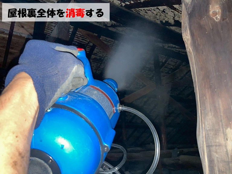 和泉市屋根裏全体を消毒する