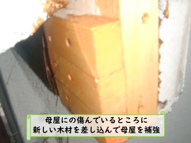 和泉市母屋補強