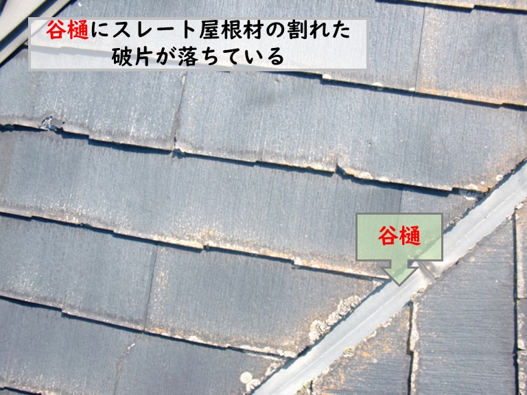 和泉市谷樋にスレート瓦の破片落下