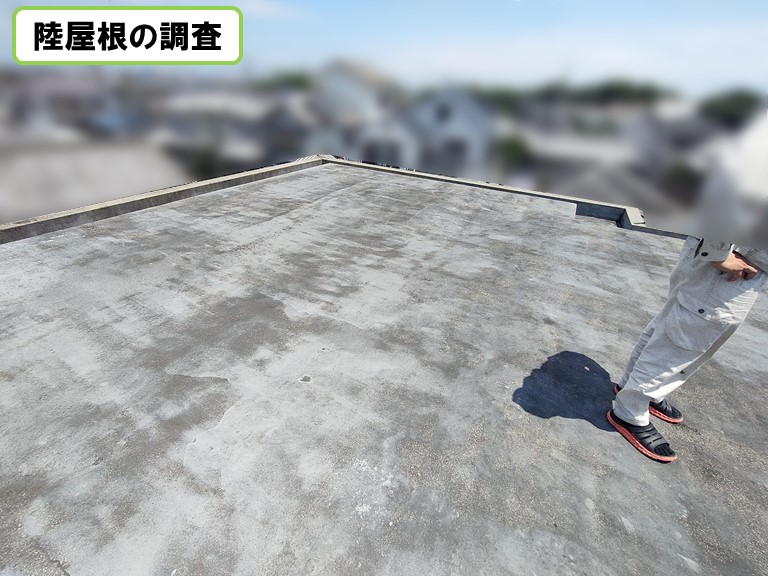 和泉市陸屋根の調査