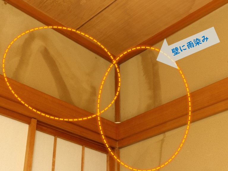 貝塚市で壁に雨染み