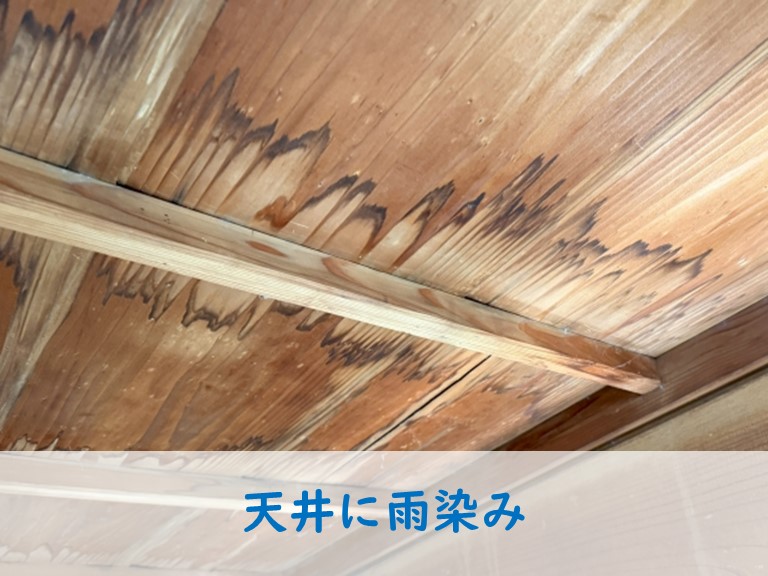 天井に雨染み