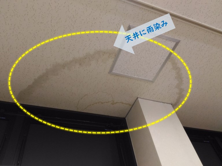 貝塚市で天井に雨染み