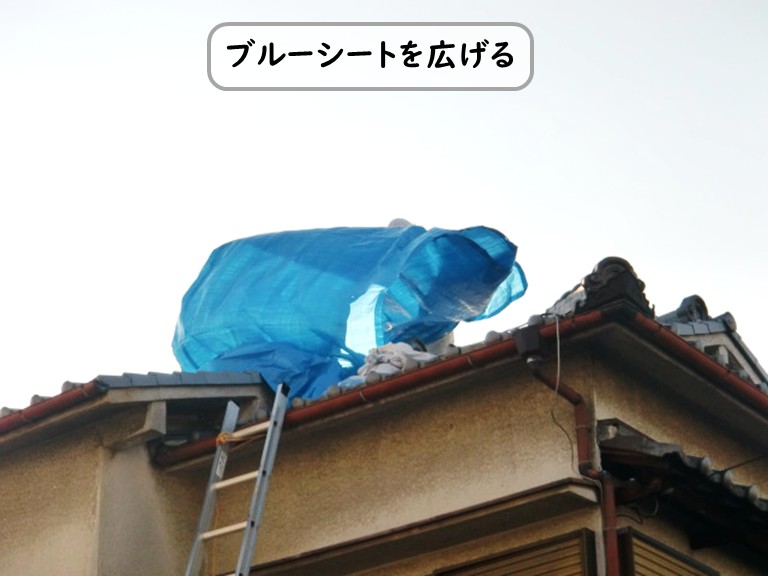 屋根にブルーシートを広げる