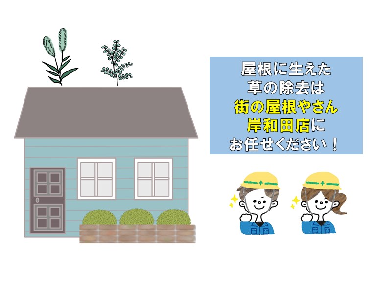 屋根に生えた草の除去は街の屋根やさんに