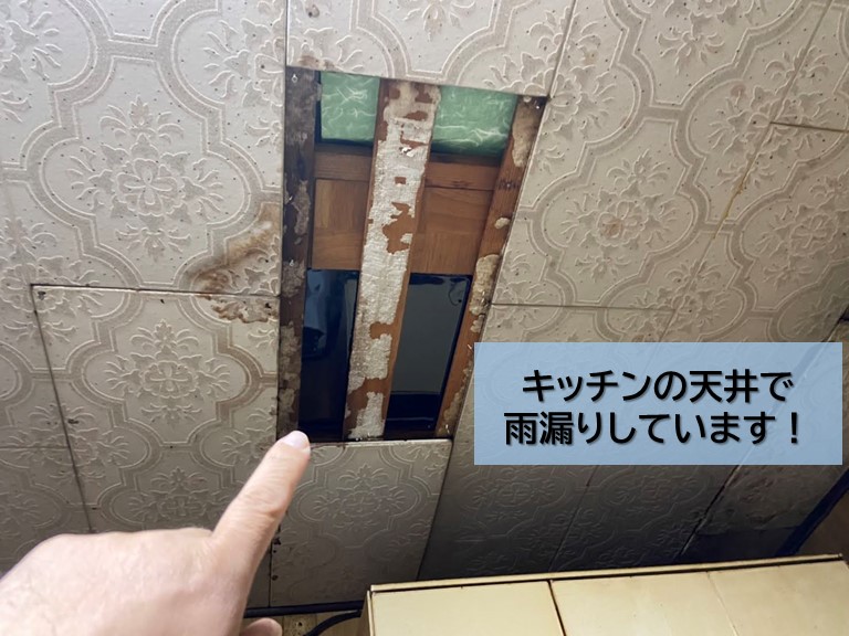岸和田市のキッチンの天井で雨漏り