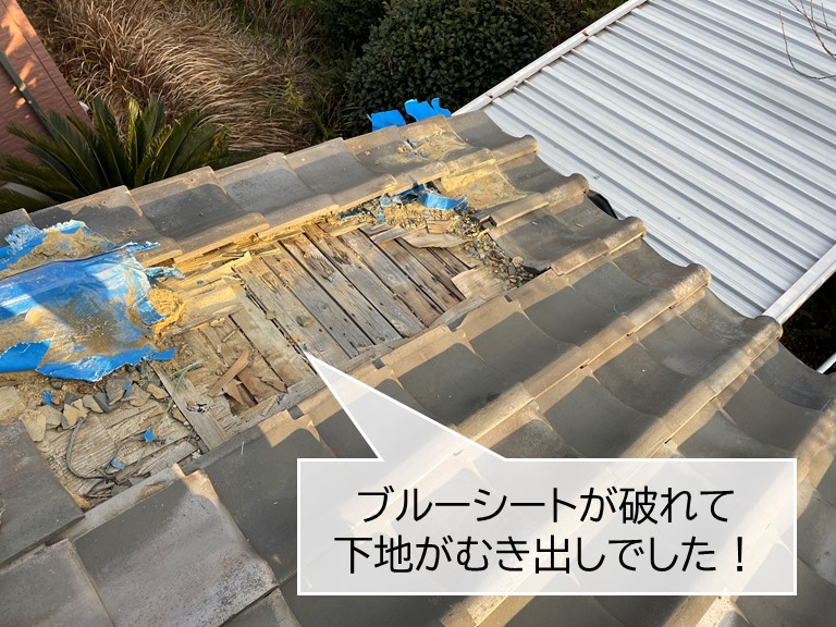 岸和田市のブルーシートが破れて下地がむき出しです