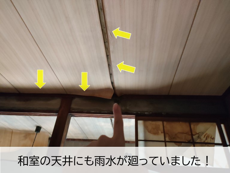 岸和田市の和室の天井にも雨水が廻っていました