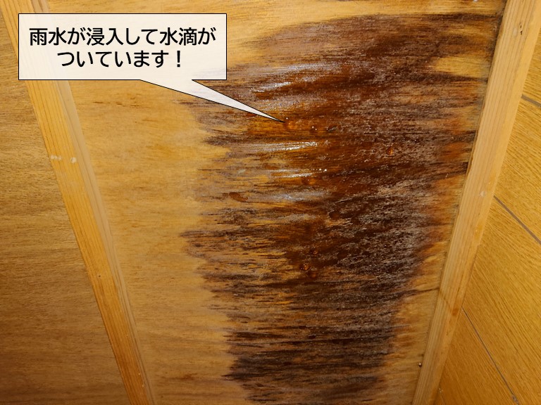 って水滴がついています