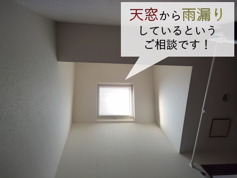 岸和田市の天窓から雨漏り発生