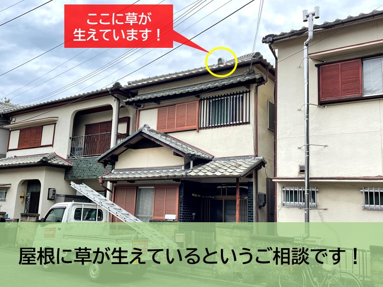 岸和田市の屋根に草が生えているというご相談