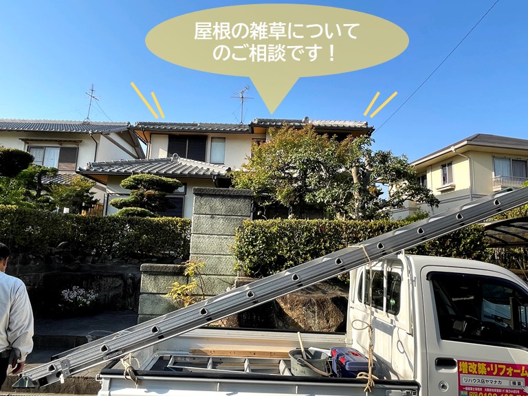 岸和田市の屋根の雑草についてのご相談