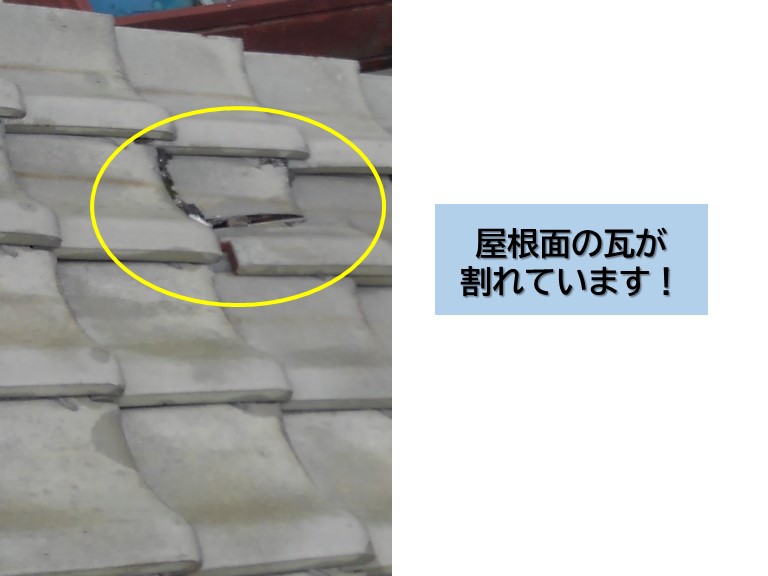 岸和田市の屋根面の瓦が割れています