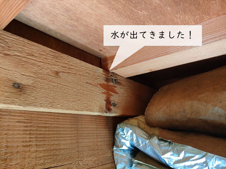 岸和田市の散水試験で水が出てきました