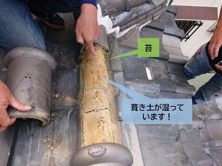 岸和田市の棟の葺き土が湿っています