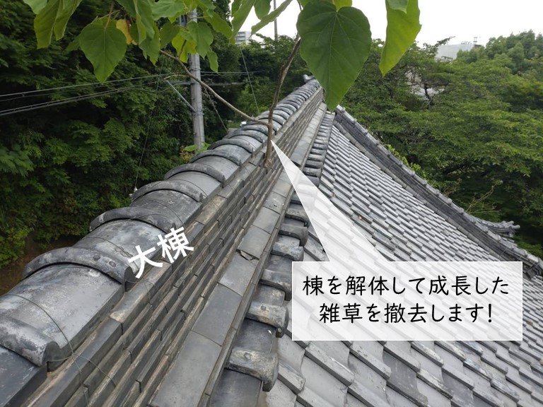 岸和田市の棟を解体して雑草を撤去