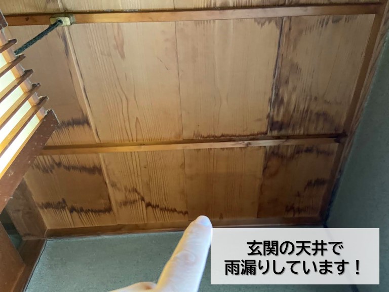 岸和田市の玄関の天井で雨漏りしています