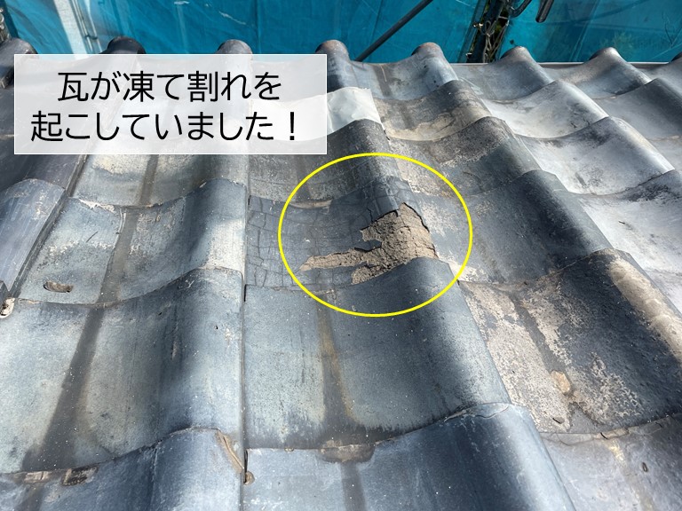 岸和田市の瓦が凍て割れを起こしていました