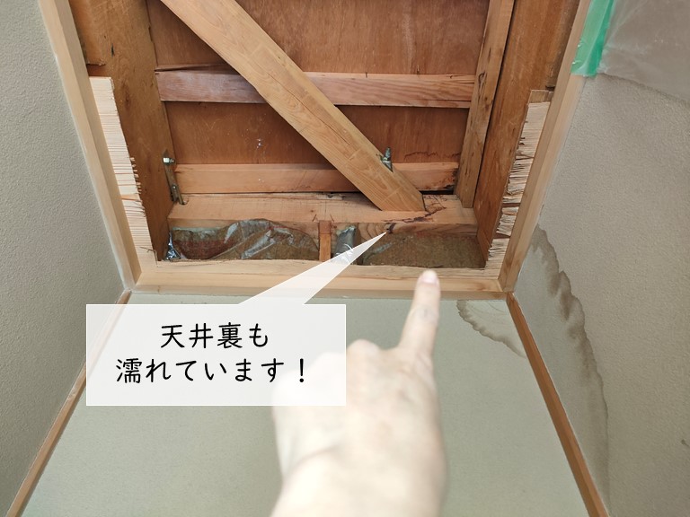岸和田市の縁側の天井裏も濡れています