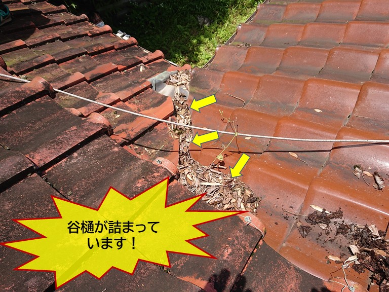 岸和田市の谷樋が詰まっています