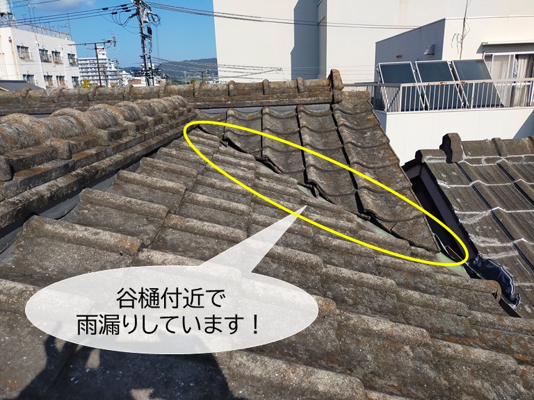 岸和田市の谷樋付近で雨漏りしています