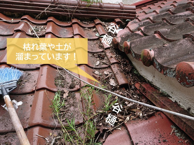 岸和田市の谷樋付近に枯れ葉や土が溜まっています