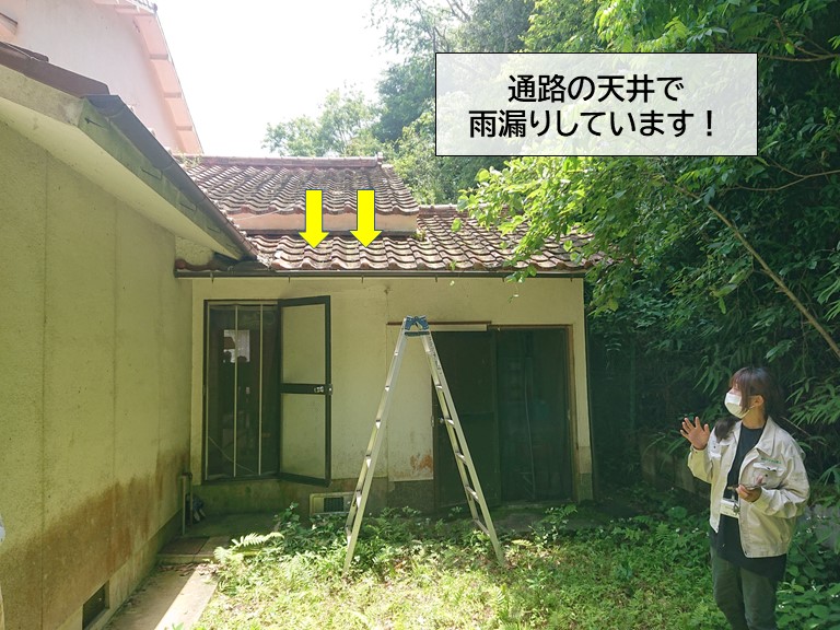 岸和田市の通路の天井で雨漏りしています