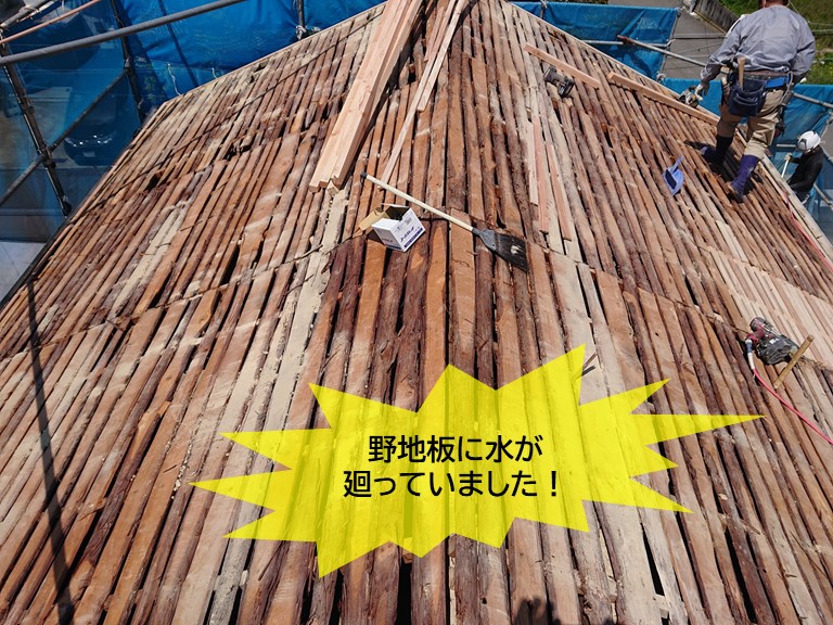 岸和田市の野地板に水が廻っていました