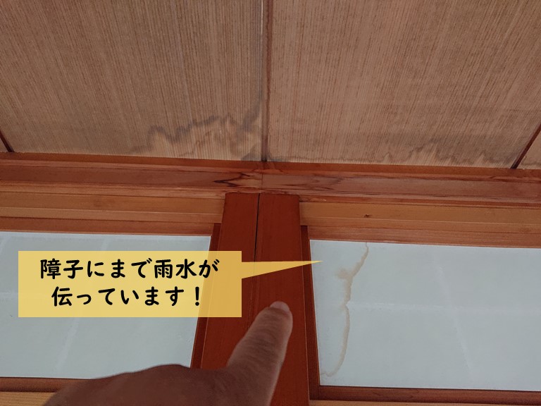 岸和田市の障子にまで雨水が伝っています
