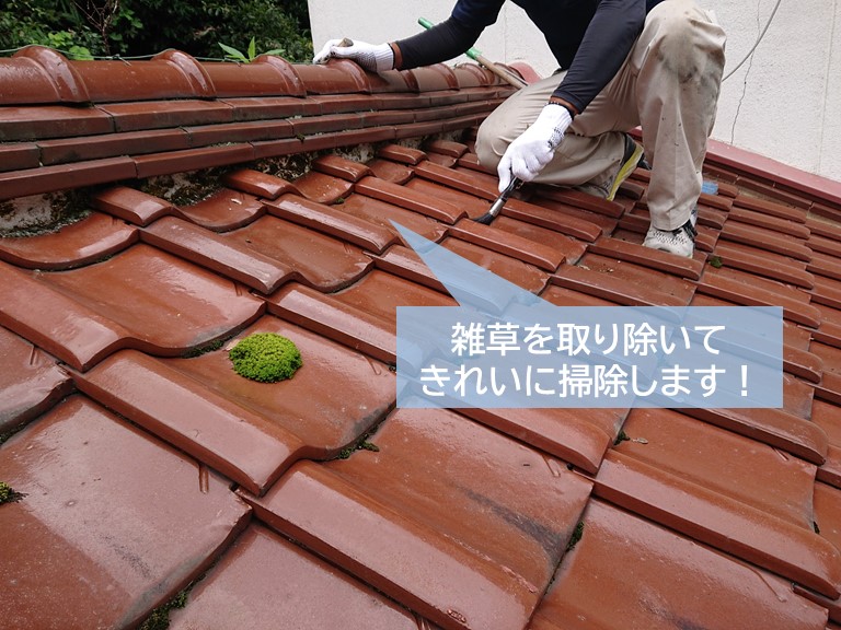 岸和田市の雑草を取り除いてきれいに掃除します