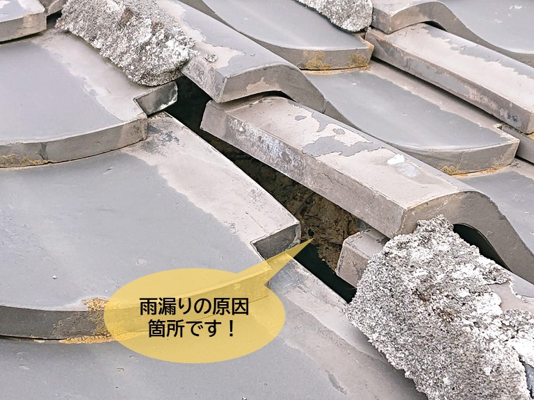 岸和田市の雨漏りの原因箇所