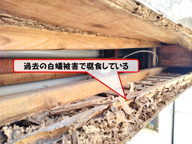 岸和田市過去の白蟻被害で腐食している