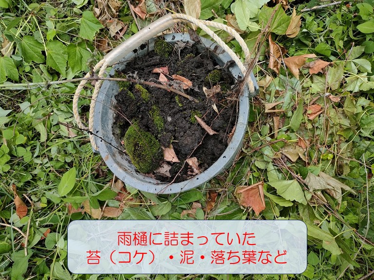 岸和田市雨樋の清掃のあとの泥・落ち葉など回収