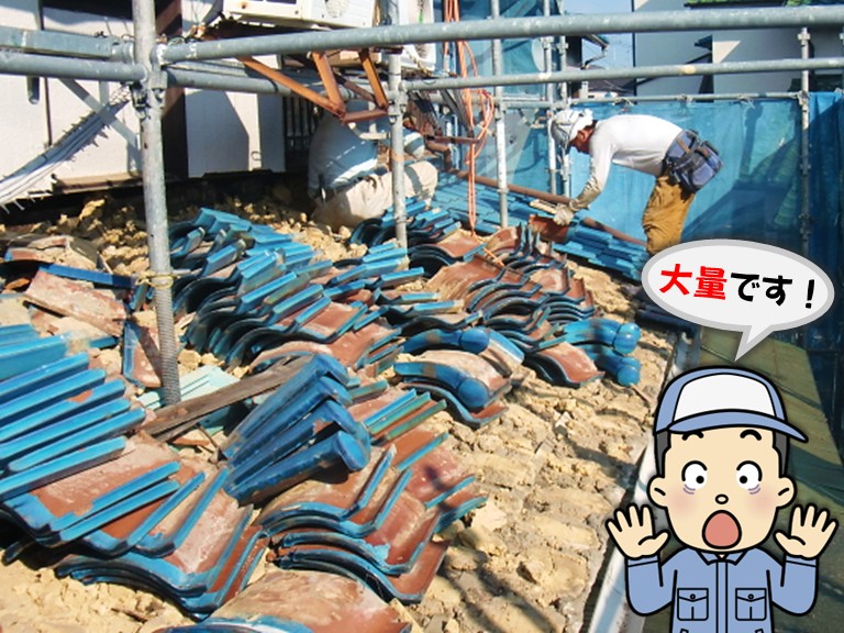 忠岡町 下屋 大量です！