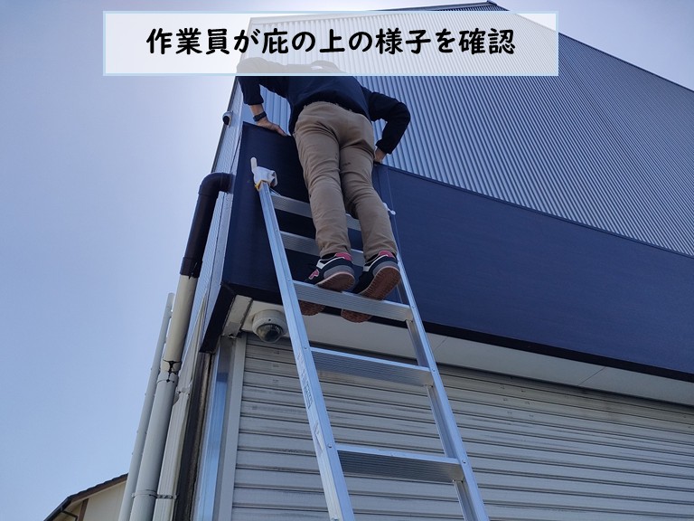 忠岡町で作業員が庇の上の様子を確認