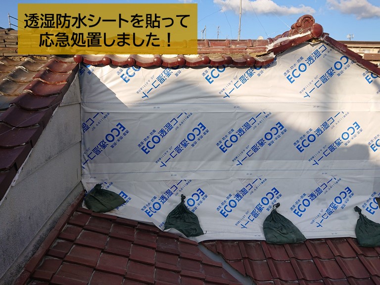 忠岡町の外壁に透湿防水シートを貼って応急処置しました