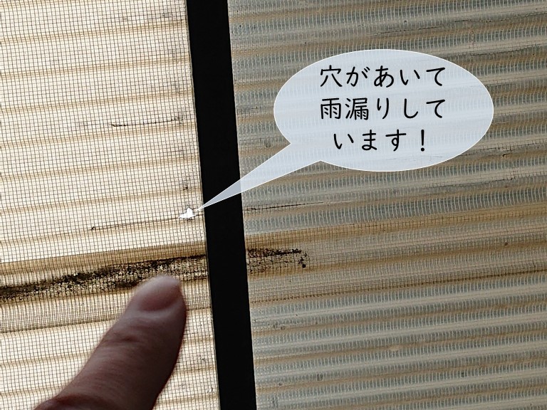 忠岡町の波板に穴があいて雨漏りしています