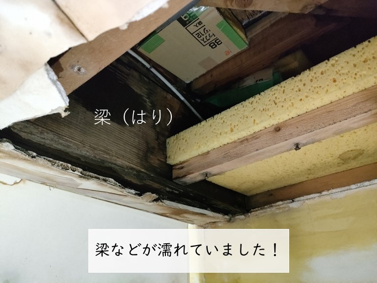 忠岡町の洋室の雨漏りで梁などが濡れていました