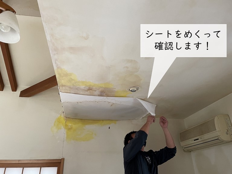 忠岡町の洋室の雨漏りの応急処置のシートをめくります