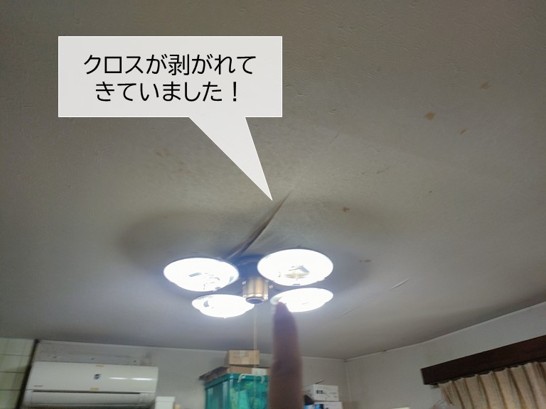 忠岡町の照明器具から雨漏り