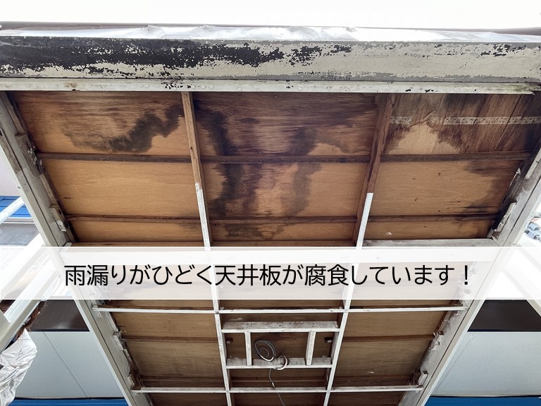 忠岡町の玄関屋根が雨漏りで傷んでいます