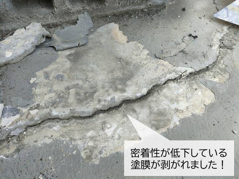 忠岡町の防水の塗膜